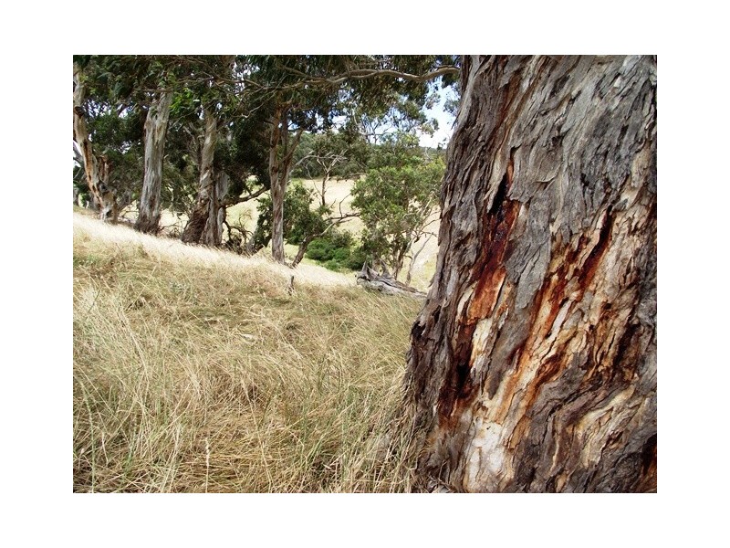 Lot 13, 13 Parawa Road, Torrens Vale SA 5203