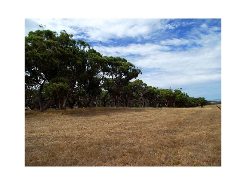 Lot 13, Lot 13 South Road, Silverton SA 5204