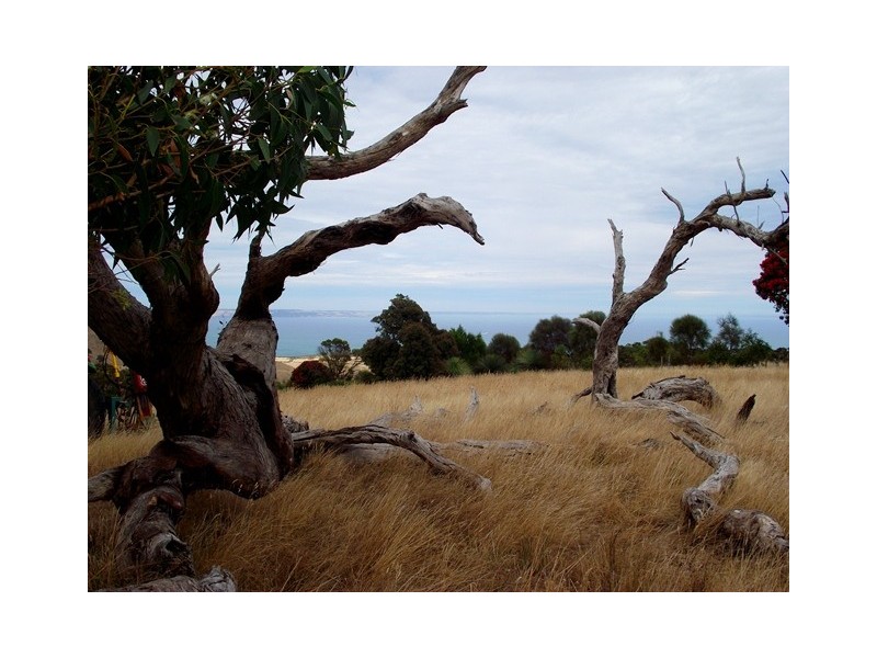 Lot 10, Lot 10 South Road, Deep Creek SA 5204