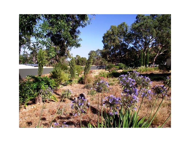 lot 52 Barunga Street, Yankalilla SA 5203