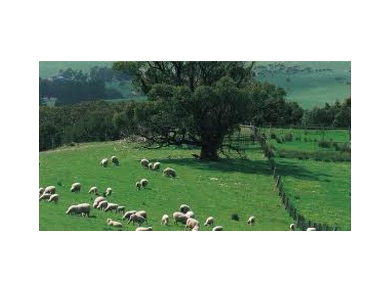 lot 52 Barunga Street, Yankalilla SA 5203