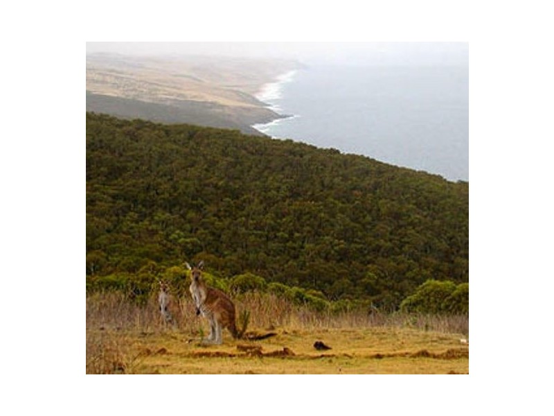 lot 52 Barunga Street, Yankalilla SA 5203