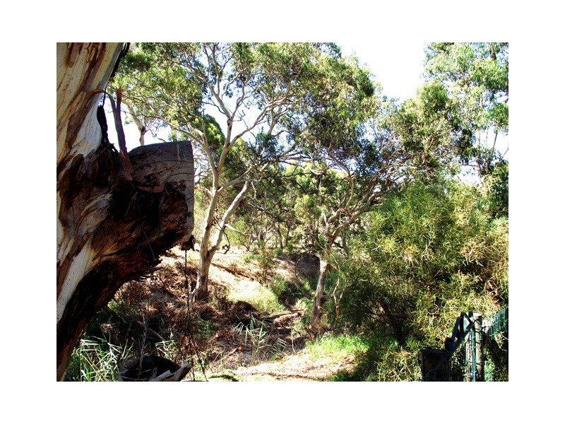 Lot 1, 126A Main South Road, Yankalilla SA 5203