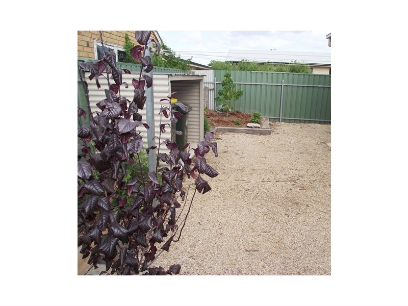 Lot 3, 3/4 Cheeseman Street, Normanville SA 5204