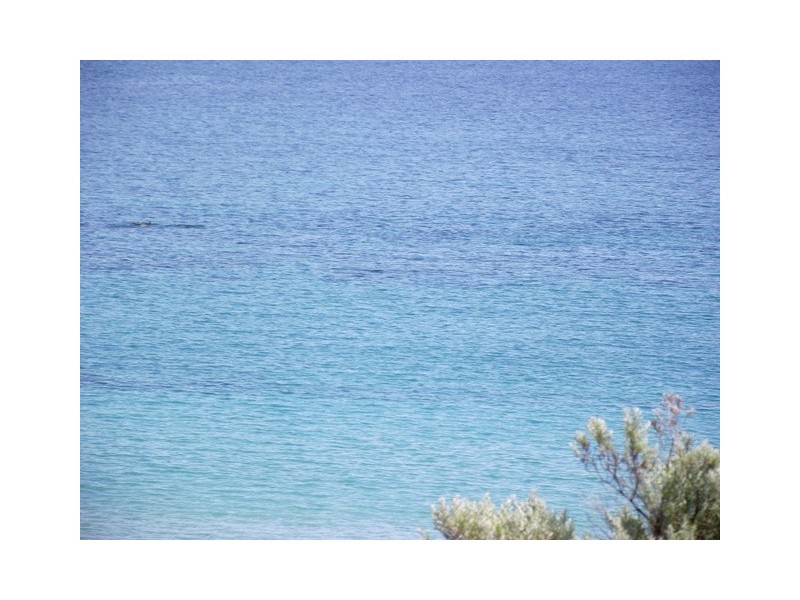 4 Scenic Way, Carrickalinga SA 5204