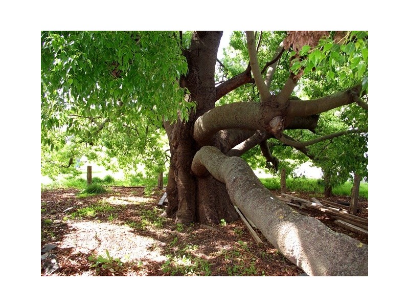 8032B Main South Road, Delamere SA 5204