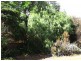 Lot 355, 7 Riverview Drive, Carrickalinga SA 5204