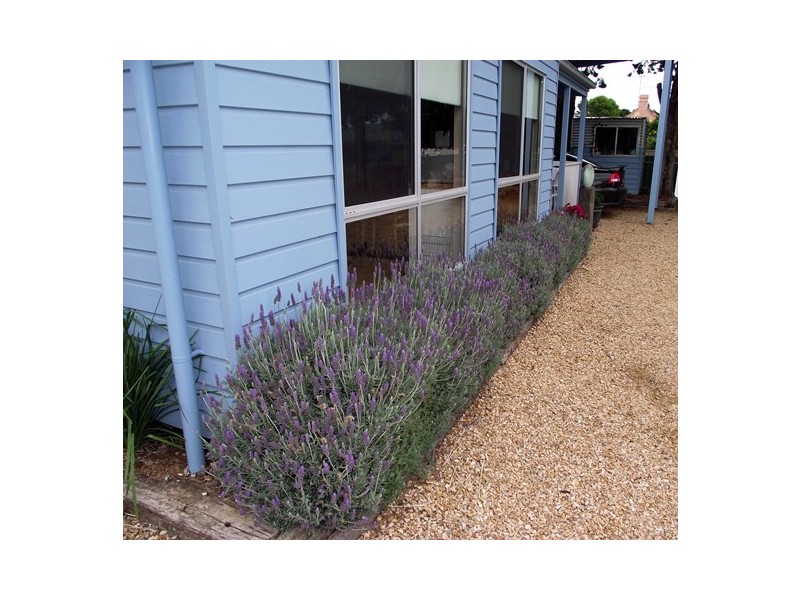 1/4 Cheeseman Street, Normanville SA 5204