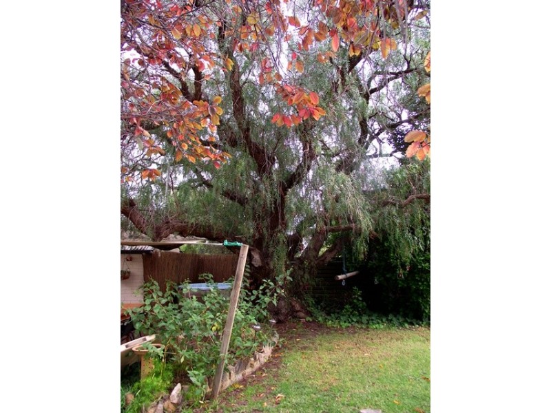 23 Jetty Rd, Normanville SA 5204