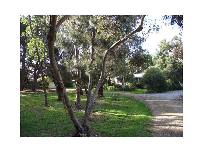 17 Dolphin Ave, Carrickalinga SA 5204