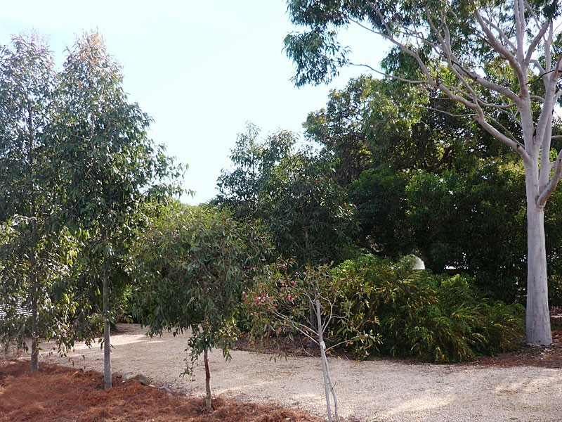 39 La Ronde, Carrickalinga SA 5204