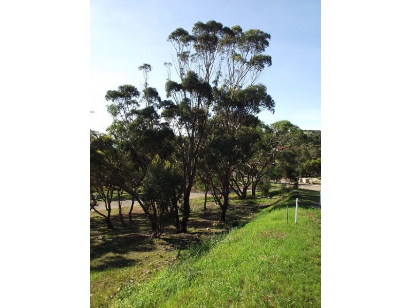 Lot 103, 61 Seaview Avenue, Wirrina Cove SA 5204