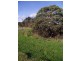 Lot 6, 16 Ulonga Court, Normanville SA 5204