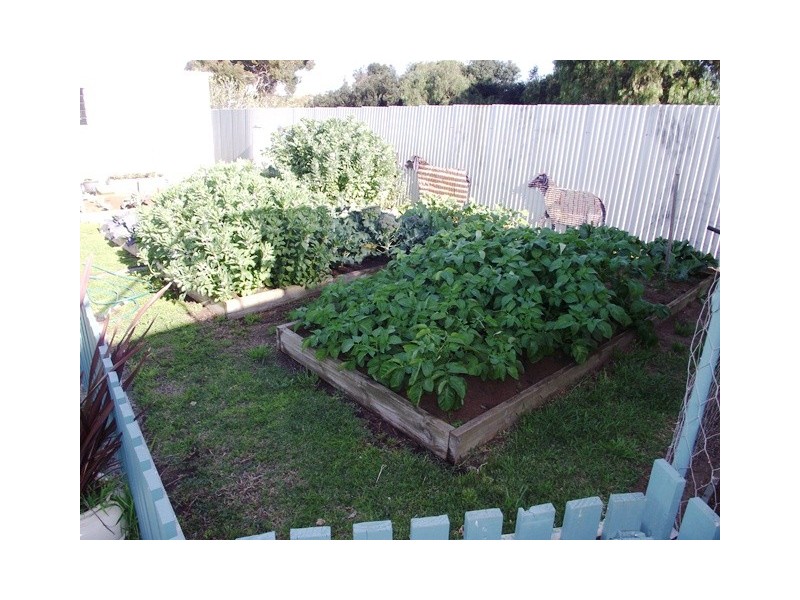 3 Katherine Drive, Normanville SA 5204