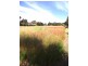 Lot 12, 3 Hewett Close, Normanville SA 5204