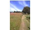 Lot 12, 3 Hewett Close, Normanville SA 5204