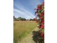 Lot 12, 3 Hewett Close, Normanville SA 5204