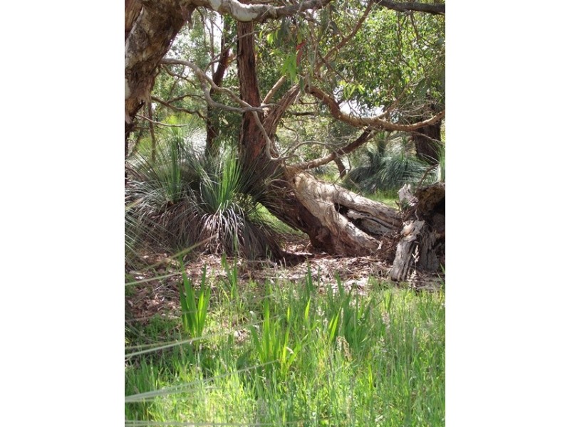 Lot 201, 28 Forktree Road, Myponga SA 5202