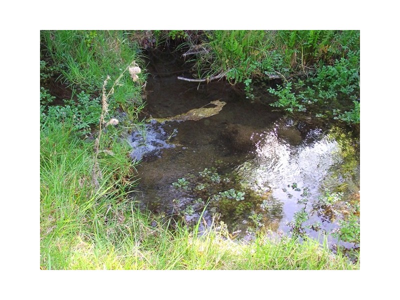 Lot 101, 73 Yoho Rd, Delamere SA 5204