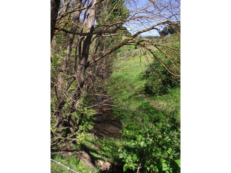 Lot 101, 73 Yoho Rd, Delamere SA 5204