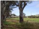 Lot 2, 40 Wild Dog Creek Rd, Wattle Flat SA 5203