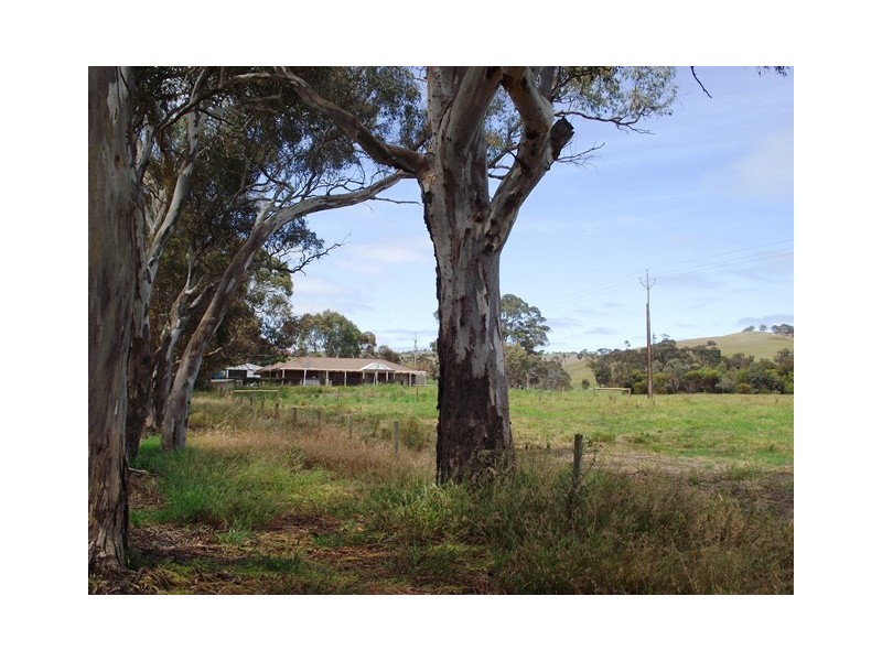 Lot 2, 40 Wild Dog Creek Rd, Wattle Flat SA 5203