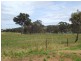 Lot 2, 40 Wild Dog Creek Rd, Wattle Flat SA 5203