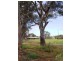Lot 2, 40 Wild Dog Creek Rd, Wattle Flat SA 5203