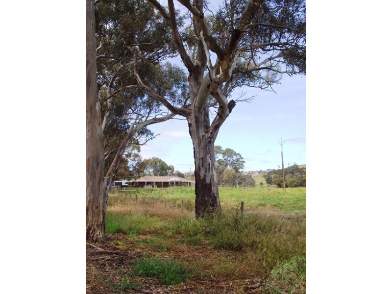 Lot 2, 40 Wild Dog Creek Rd, Wattle Flat SA 5203