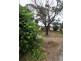 17 Carrickalinga Road, Normanville SA 5204