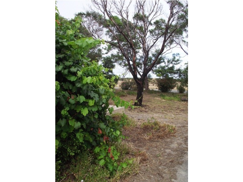 17 Carrickalinga Road, Normanville SA 5204