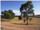 Lot 158, 1 Davey Road, Carrickalinga SA 5204