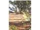 Lot 62,  Bayview Avenue, Wirrina Cove SA 5204