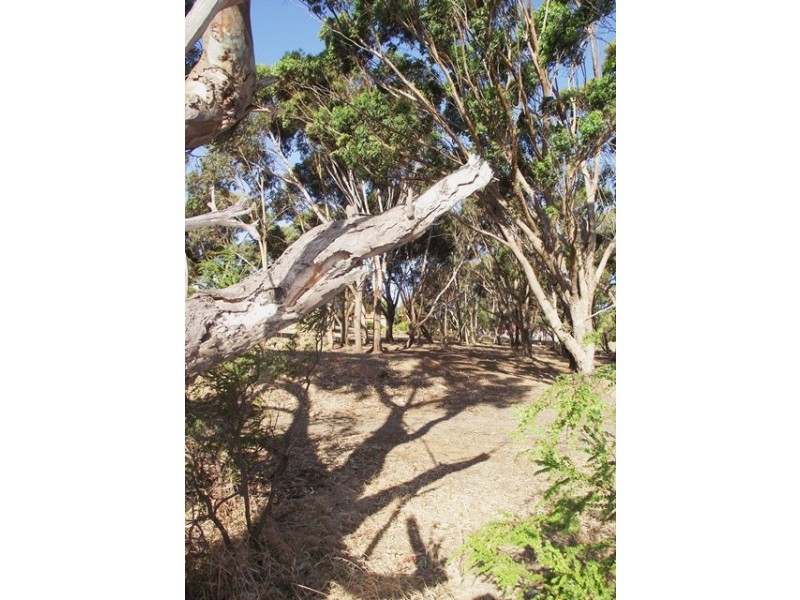 Lot 62,  Bayview Avenue, Wirrina Cove SA 5204