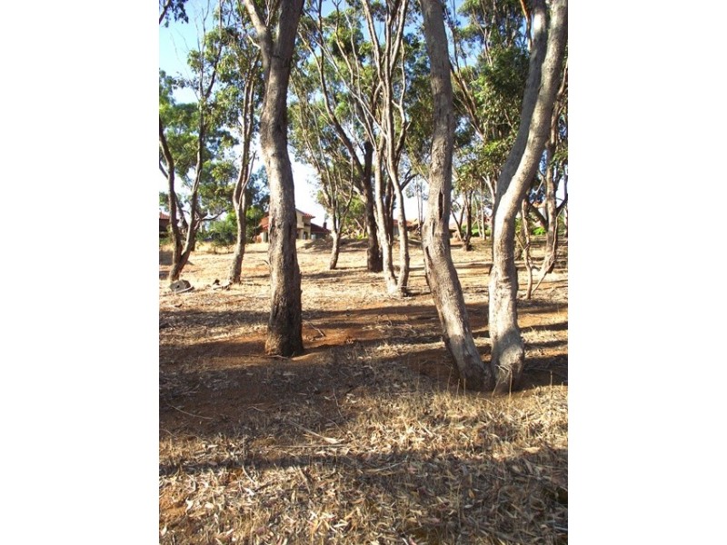 Lot 63, Bayview Avenue, Wirrina Cove SA 5204