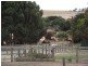 Lot 2, 16 Cole Road, Delamere SA 5204