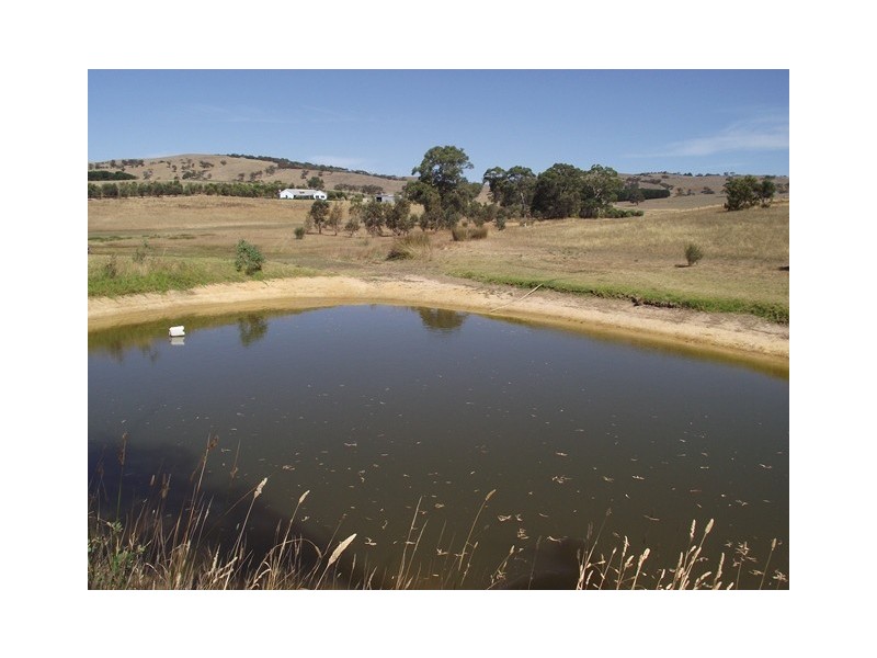 Lot 55, 178 Wild Dog Cr Rd, Wattle Flat SA 5203