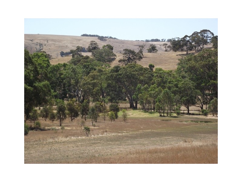 Lot 55, 178 Wild Dog Cr Rd, Wattle Flat SA 5203