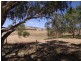 Lot 55, 178 Wild Dog Cr Rd, Wattle Flat SA 5203