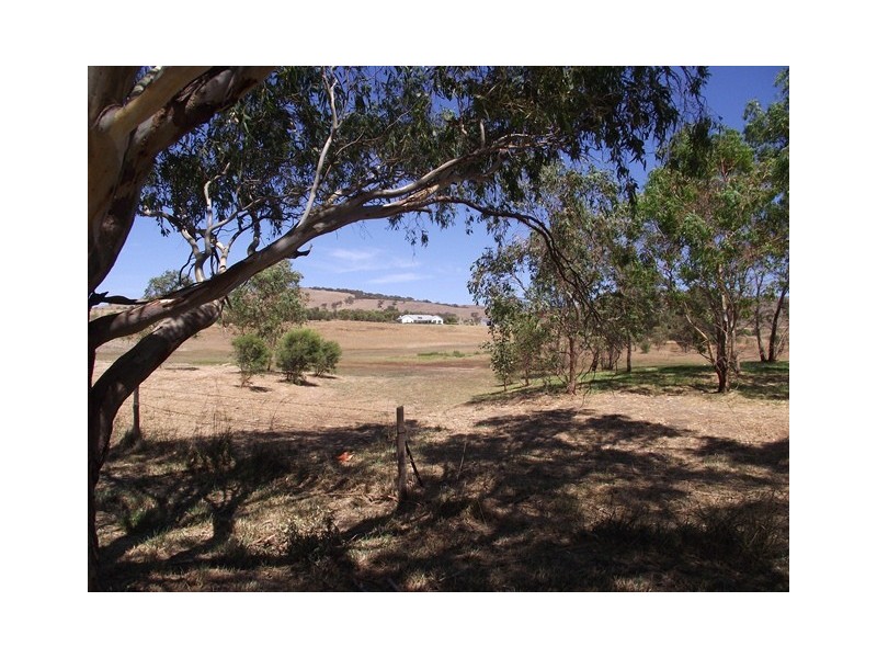 Lot 55, 178 Wild Dog Cr Rd, Wattle Flat SA 5203