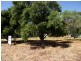 Lot 395, 29 La Ronde, Carrickalinga SA 5204