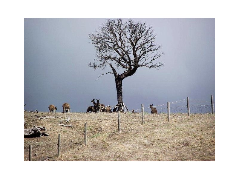 Lot 2 Birkdale Street, Normanville SA 5204