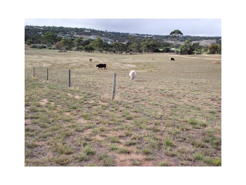 Lot 141,  Resolute Avenue, Normanville SA 5204