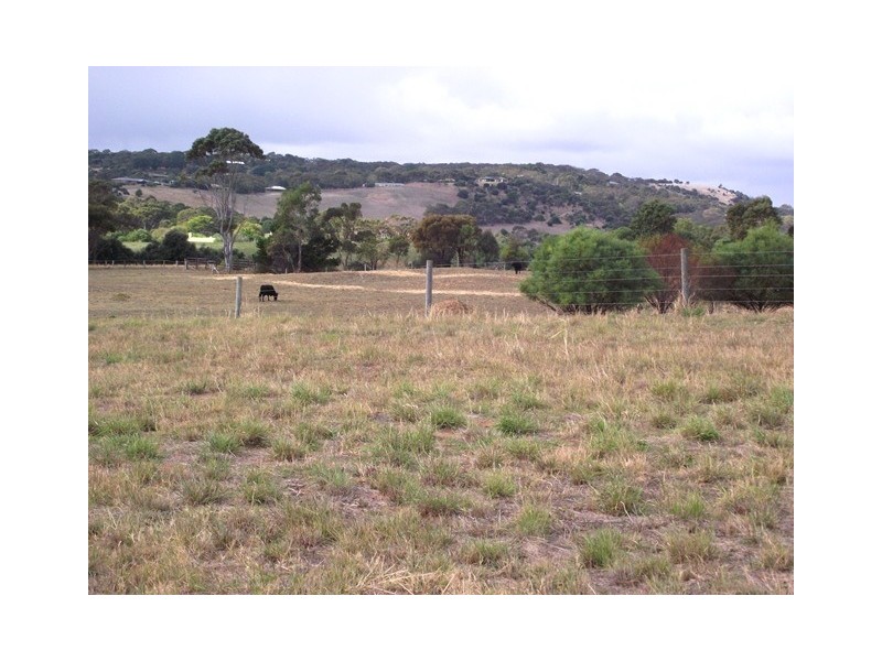 Lot 141,  Resolute Avenue, Normanville SA 5204