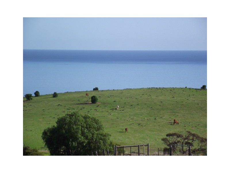 14 Willson Drive, Normanville SA 5204