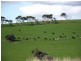 Lot 47,  Huntingdale Drive, Normanville SA 5204