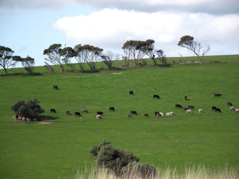 Lot 47,  Huntingdale Drive, Normanville SA 5204