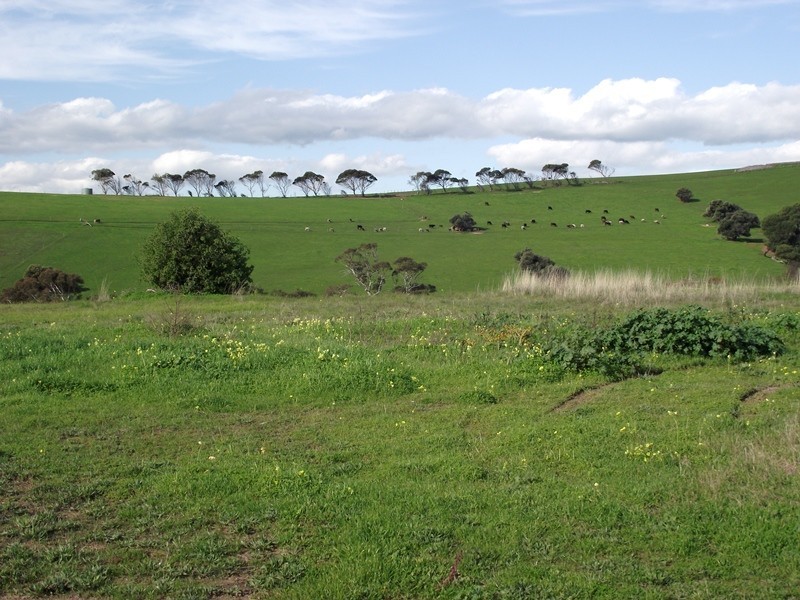 Lot 47,  Huntingdale Drive, Normanville SA 5204