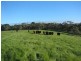 282 Bald Hills Road, Inman Valley SA 5211