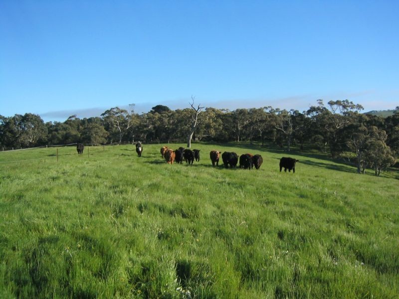 282 Bald Hills Road, Inman Valley SA 5211